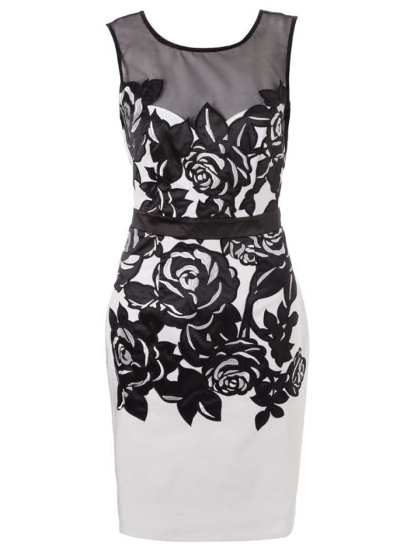 Mesh Sleeveless White And Black Backless Slim Pencil Embroidery Dress