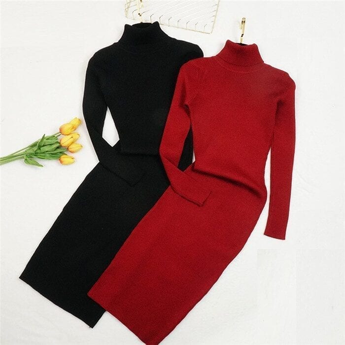 Turtleneck Long Sleeve Knitted Bodycon Dress