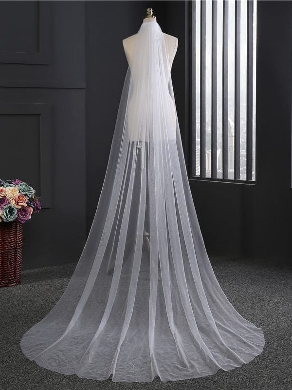 Cathedral Long Wedding Veil With Comb 3m
