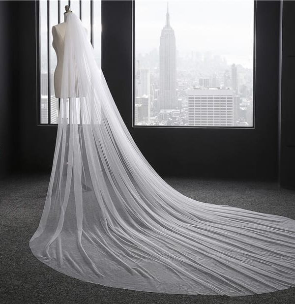 Elegant 3 Meters Long One-Layer Bridal Veil With Comb Wedding Accessories in Wedding Veils