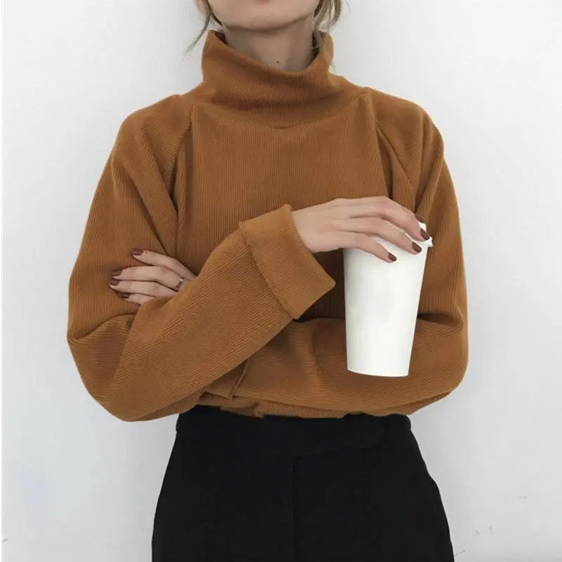 Turtleneck Long Sleeve Knitted Loose Pullover Sweater in Sweaters