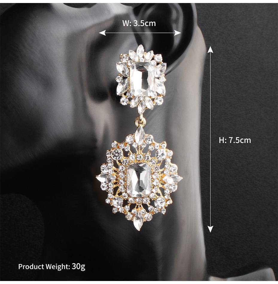 Austrian Crystal Long Earrings in Earrings