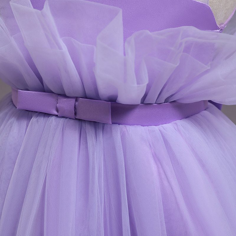 Princess Tutu Gown Party Dress in Flower Girl Dress