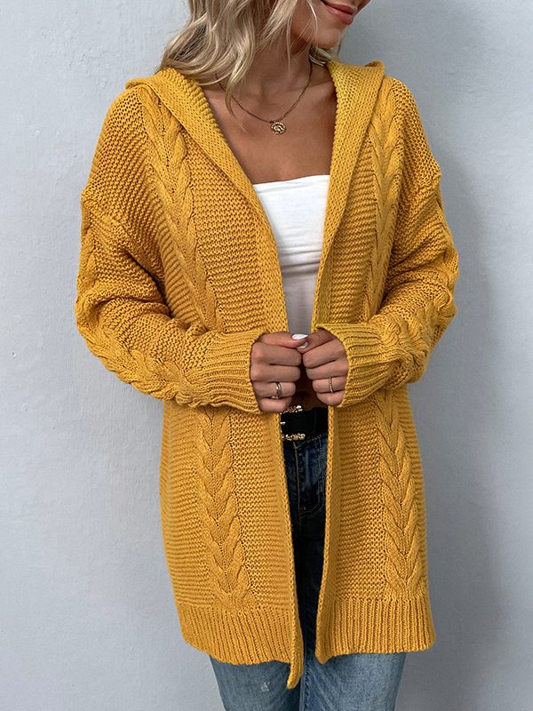 Autumn Winter Solid Color Hooded Twist Knitwear Cardigan Sweater - Sweaters - Uniqistic.com